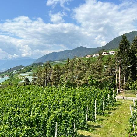 Agritur Maso Forcola Villa Brez Екстериор снимка