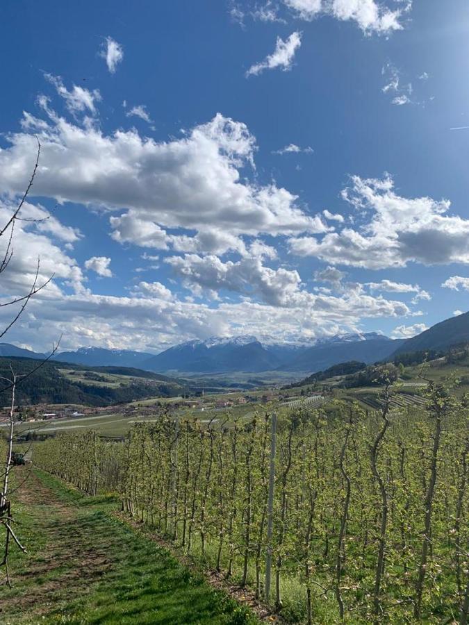 Agritur Maso Forcola Villa Brez Екстериор снимка