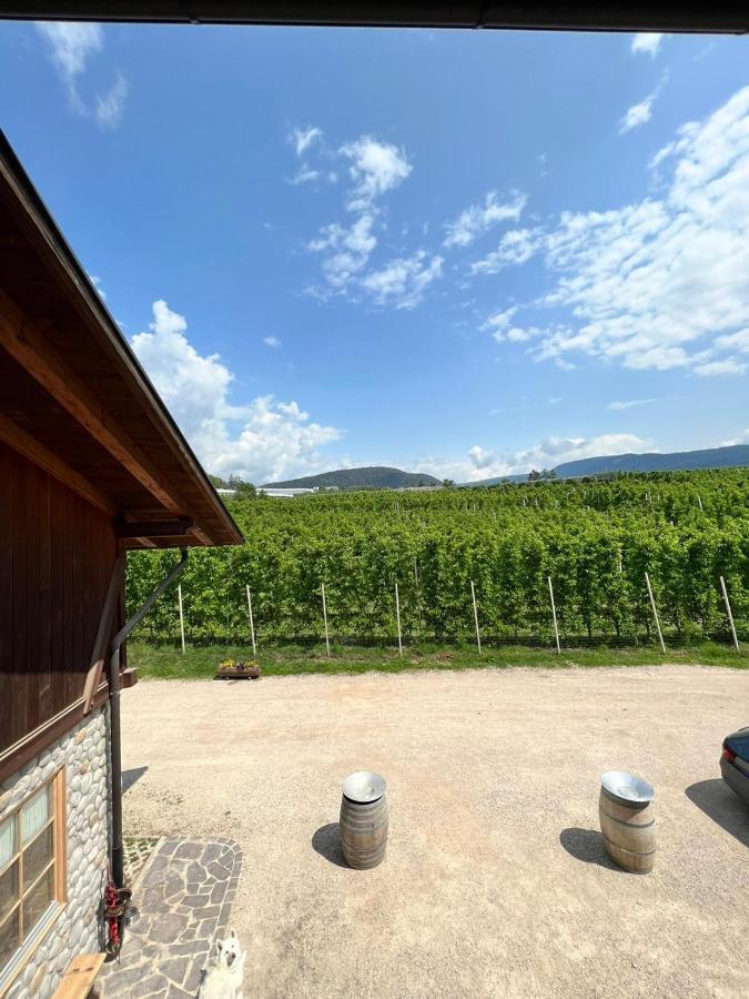 Agritur Maso Forcola Villa Brez Екстериор снимка